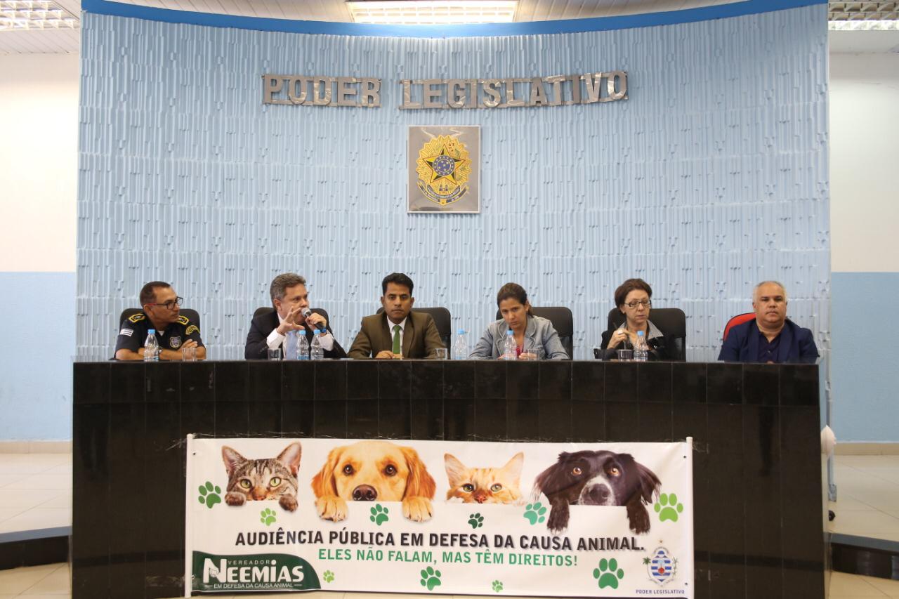 Causa Animal é debatida em audiência pública